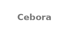 Cebora WIN TIG AC-DC 450T Robot