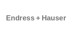 Endress + Hauser Endress + Hauser