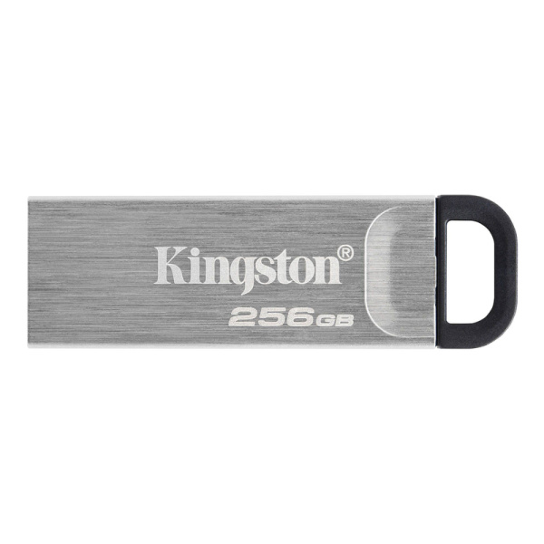 Микросхема памяти Kingston DTKN/256GB